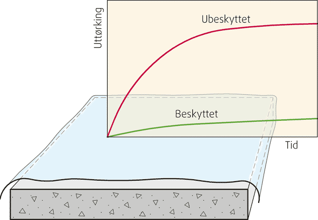 Fig. v